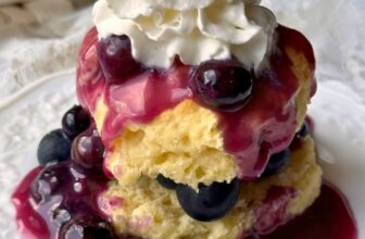 BLUEBERRY SHORTCAKE – The Southern Woman Cooks