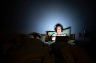 Night time owls exhibit higher cognition, analysis suggests