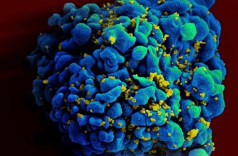 Newest HIV Remedy Case Is the Most Encouraging One But