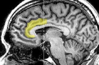 How Placebos Trick the Mind Into Lowering Ache