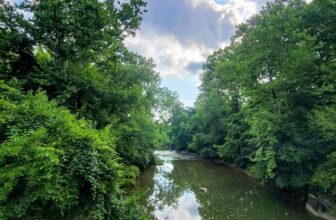 The Little Issues E-newsletter #425 – Life, laughter, and many nice meals!