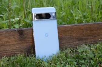 every little thing we all know to date