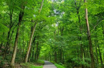 The Little Issues E-newsletter #428 – Life, laughter, and plenty of nice meals!