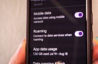 Reminder: Do not Go Roaming Abroad