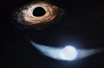Astronomers Exactly Forecast a Black Gap’s Snack Schedule