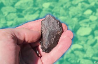 Tips on how to determine rocks together with your telephone