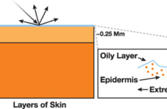 The Way forward for Skincare: Customized Cosmetics Powered by Visible Pores and skin Evaluation