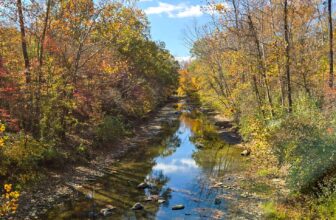 The Little Issues E-newsletter #440 – Life, laughter, and plenty of nice meals!