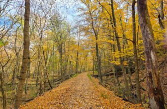 The Little Issues E-newsletter #441 – Life, laughter, and plenty of nice meals!