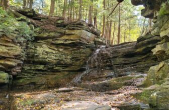 The Little Issues E-newsletter #443 – Life, laughter, and plenty of nice meals!