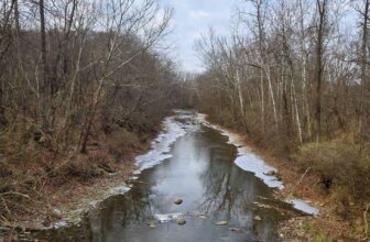 The Little Issues E-newsletter #446 – Life, laughter, and many nice meals!