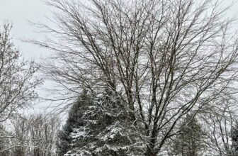 The Little Issues Publication #451 – Life, laughter, and many nice meals!