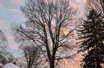 The Little Issues E-newsletter #452 – Life, laughter, and many nice meals!