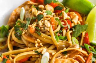 Gradual Cooker Hen Peanut Noodles