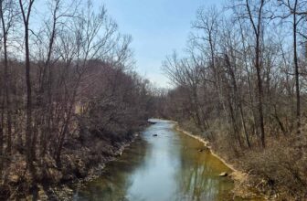 The Little Issues E-newsletter #460 – Life, laughter, and many nice meals!