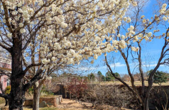 The Little Issues Publication #461 – Life, laughter, and plenty of nice meals!