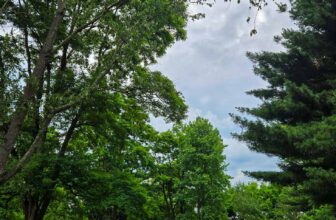 The Little Issues E-newsletter #474 – Life, laughter, and plenty of nice meals!