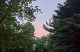 The Little Issues Publication #484 – Life, laughter, and many nice meals!