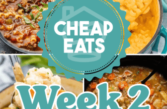 Low cost Eats Week 2 (Heat Climate)