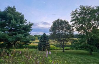 The Little Issues E-newsletter #485 – Life, laughter, and plenty of nice meals!