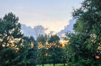 The Little Issues E-newsletter #488 – Life, laughter, and plenty of nice meals!