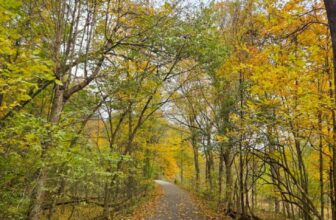 The Little Issues Publication #492 – Life, laughter, and plenty of nice meals!