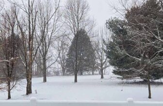 The Little Issues E-newsletter #499 – Life, laughter, and plenty of nice meals!